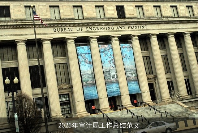 2025年审计局工作总结范文