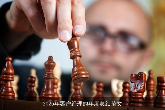 2025年客户经理的年度总结范文