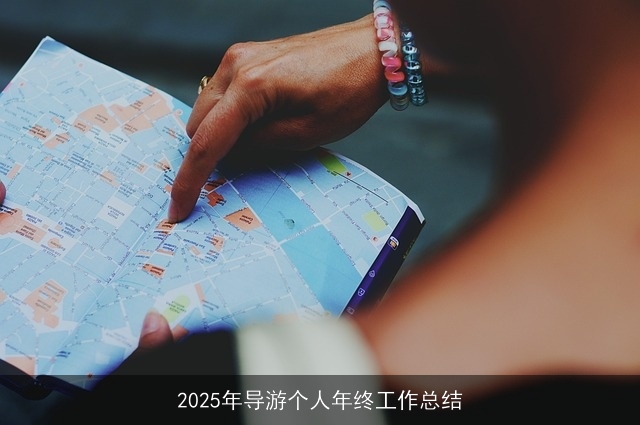 2025年导游个人年终工作总结