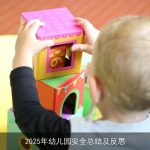 2025年幼儿园安全总结及反思