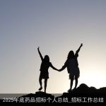 2025年底药品招标个人总结_招标工作总结