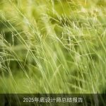 2025年底设计师总结报告