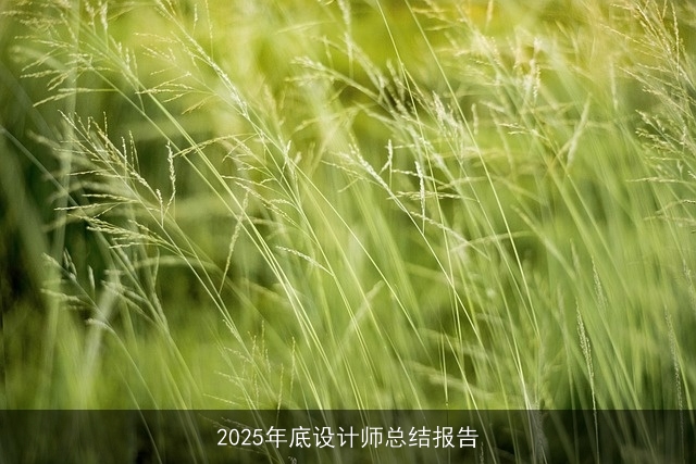 2025年底设计师总结报告