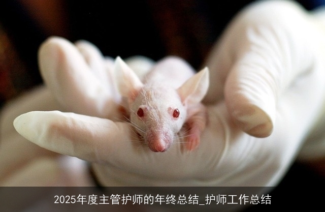 2025年度主管护师的年终总结_护师工作总结