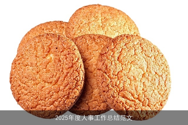 2025年度人事工作总结范文