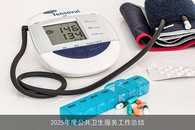 2025年度公共卫生服务工作总结