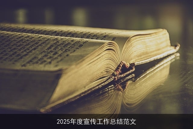 2025年度宣传工作总结范文