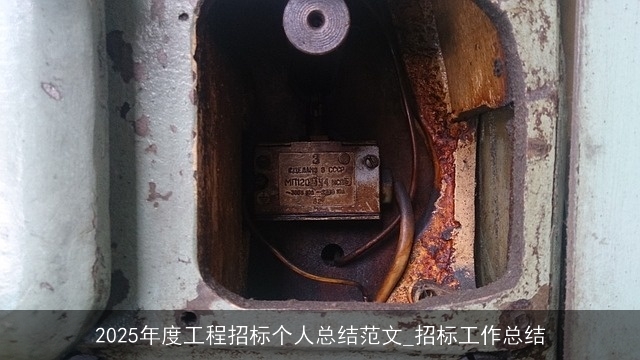 2025年度工程招标个人总结范文_招标工作总结