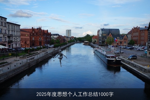 2025年度思想个人工作总结1000字