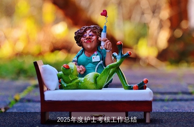 2025年度护士考核工作总结