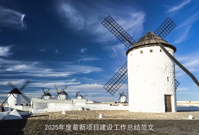 2025年度最新项目建设工作总结范文