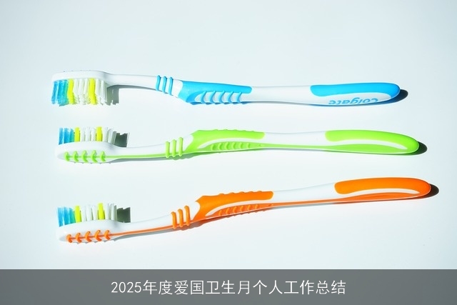 2025年度爱国卫生月个人工作总结