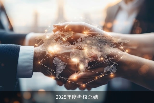 2025年度考核总结