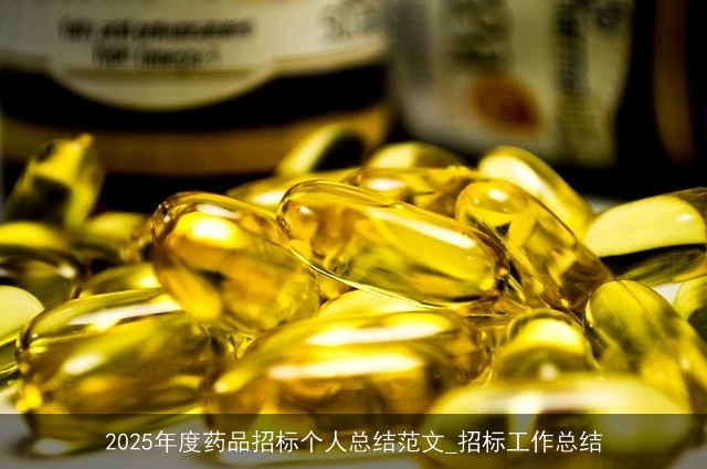 2025年度药品招标个人总结范文_招标工作总结