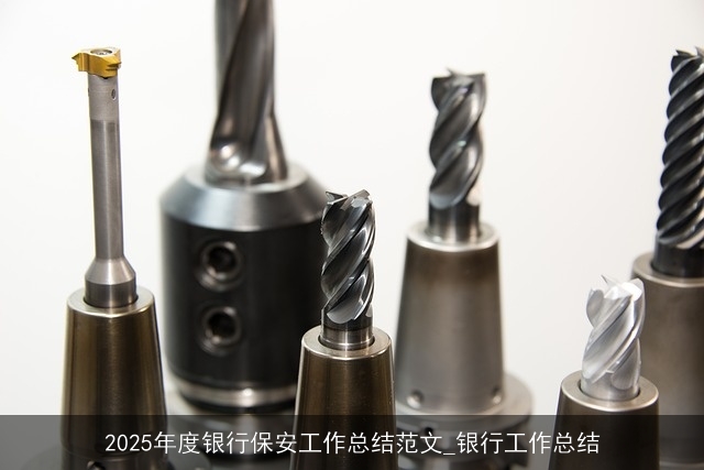 2025年度银行保安工作总结范文_银行工作总结