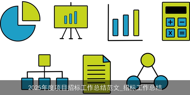 2025年度项目招标工作总结范文_招标工作总结