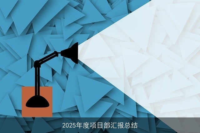 2025年度项目部汇报总结