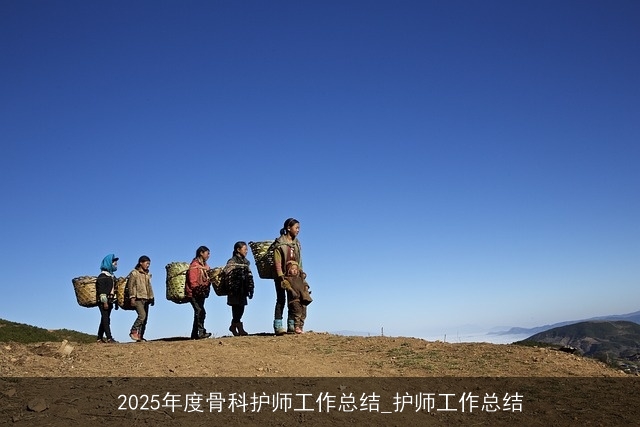 2025年度骨科护师工作总结_护师工作总结