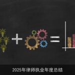 2025年律师执业年度总结