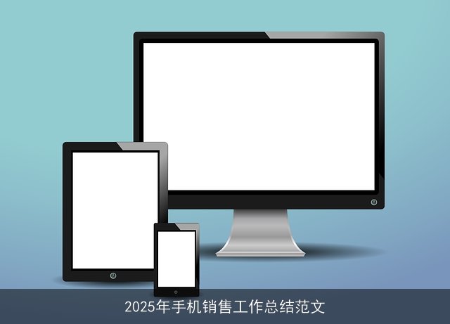 2025年手机销售工作总结范文