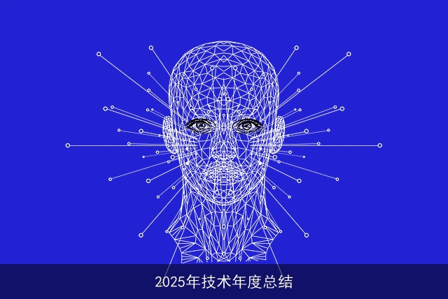 2025年技术年度总结