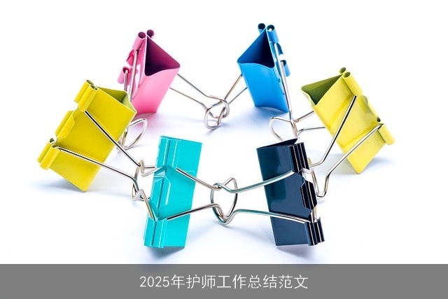 2025年护师工作总结范文