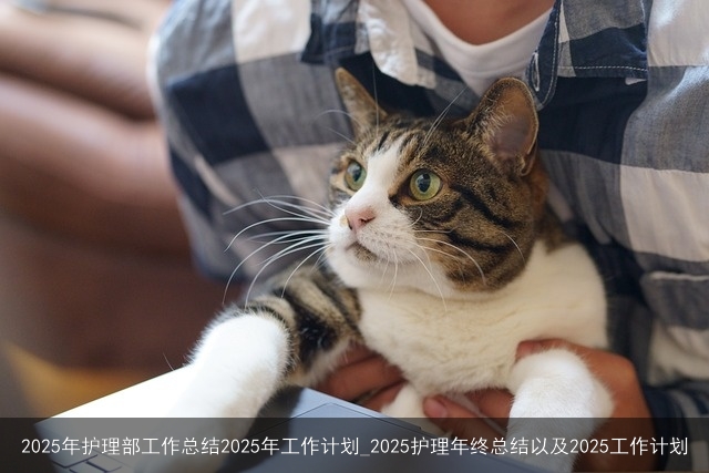 2025年护理部工作总结2025年工作计划_2025护理年终总结以及2025工作计划