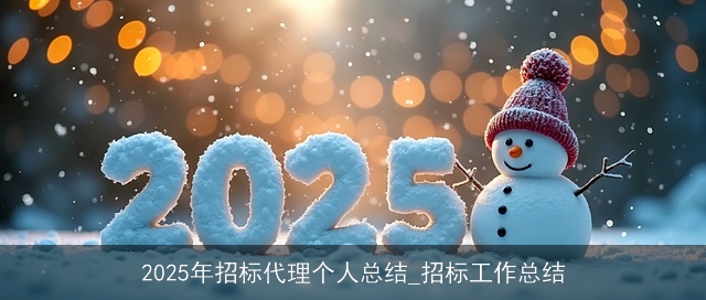 2025年招标代理个人总结_招标工作总结