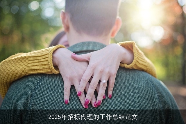 2025年招标代理的工作总结范文