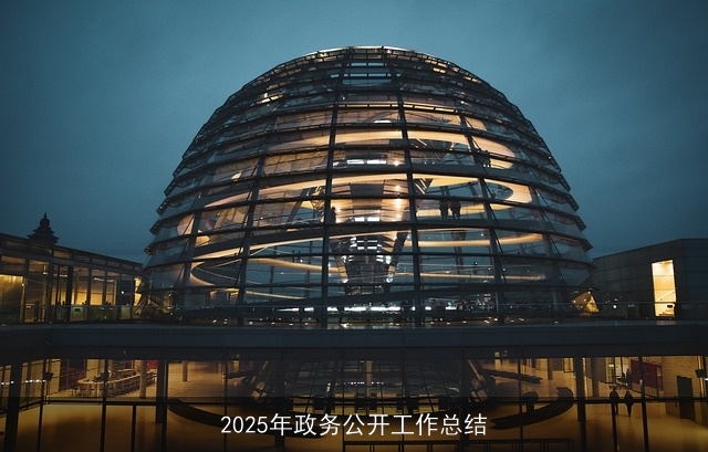 2025年政务公开工作总结
