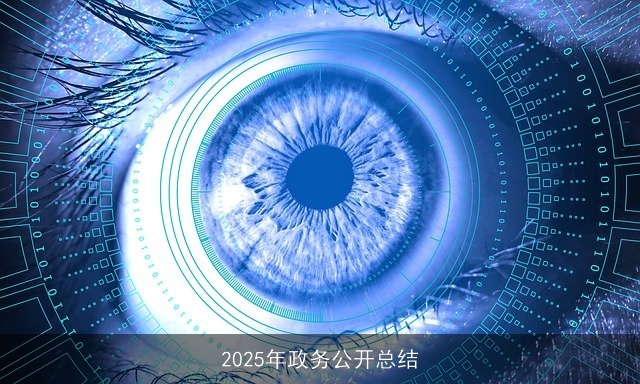 2025年政务公开总结