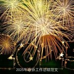 2025年政协工作总结范文