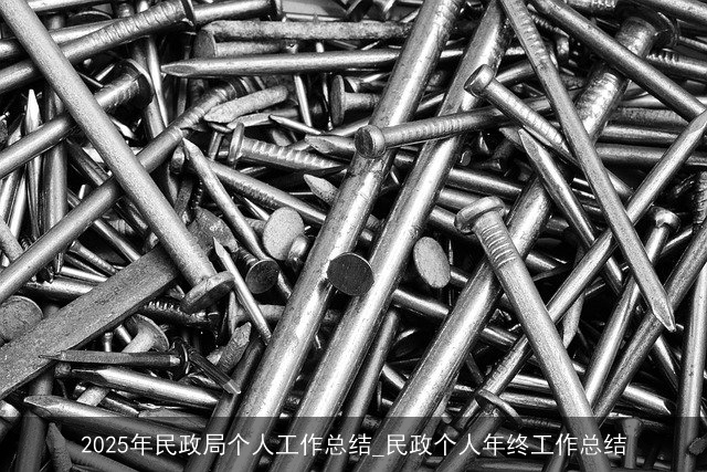 2025年民政局个人工作总结_民政个人年终工作总结