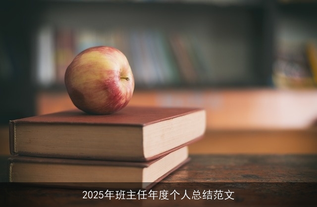 2025年班主任年度个人总结范文