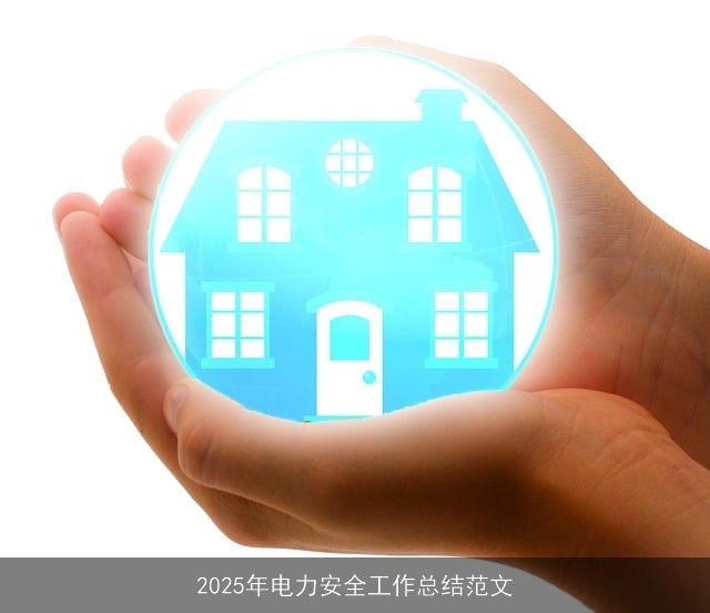 2025年电力安全工作总结范文