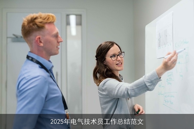 2025年电气技术员工作总结范文