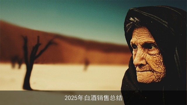 2025年白酒销售总结