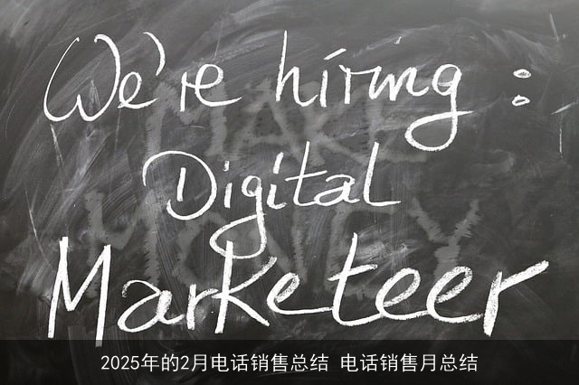 2025年的2月电话销售总结 电话销售月总结