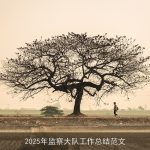 2025年监察大队工作总结范文