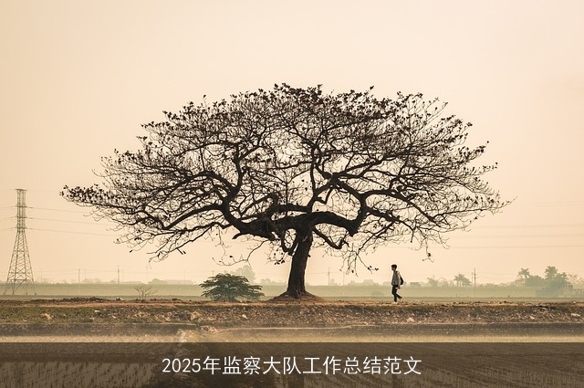 2025年监察大队工作总结范文