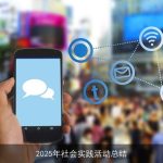 2025年社会实践活动总结