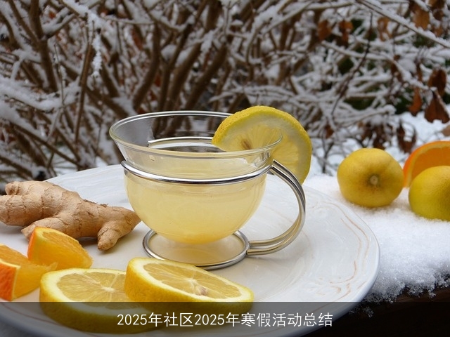 2025年社区2025年寒假活动总结