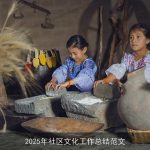 2025年社区文化工作总结范文