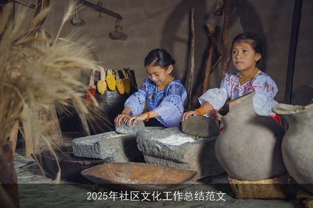 2025年社区文化工作总结范文