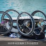 2025年社区残联工作总结范文