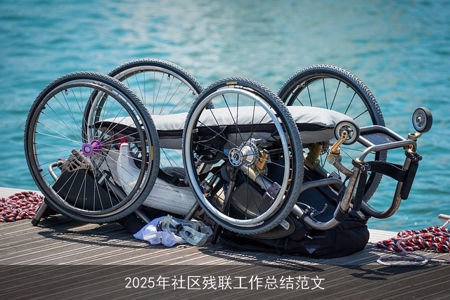 2025年社区残联工作总结范文