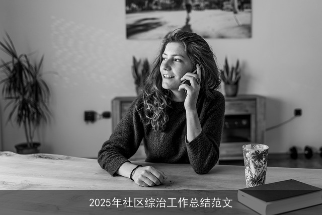 2025年社区综治工作总结范文