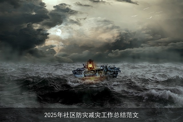2025年社区防灾减灾工作总结范文