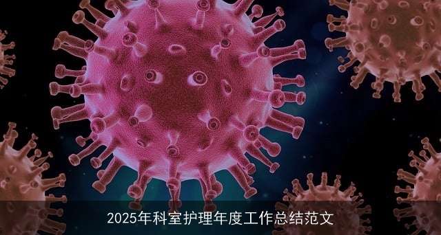 2025年科室护理年度工作总结范文