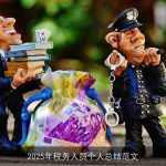 2025年税务人员个人总结范文